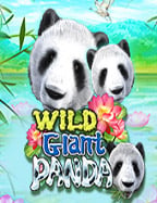 เล่นสล็อต slotxo ฟรี เครดิต ด้วยสูตรเด็ด ที่นี่เท่านั้น